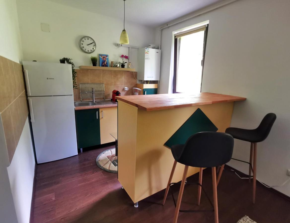 Studio Azuga Zewnętrze zdjęcie